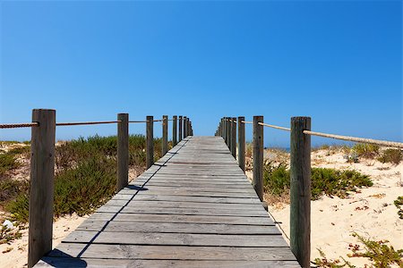simsearch:614-03420184,k - Deserted elevated wooden boardwalk protecting a fragile dune ecosystem and habitat from damage due to pedestrian traffic crossing a golden sand dune Stock Photo - Budget Royalty-Free & Subscription, Code: 400-07095341
