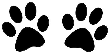 Footprint of two dogs Stockbilder - Microstock & Abonnement, Bildnummer: 400-07095902