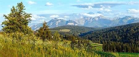 simsearch:400-05291390,k - Summer evening mountain village outskirts with blossoming field and Tatra range behind (Gliczarow Gorny, Poland) Stock Photo - Budget Royalty-Free & Subscription, Code: 400-07096020