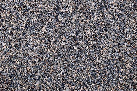 semilla (para pájaro) - Niger seed abstract background texture Foto de stock - Super Valor sin royalties y Suscripción, Código: 400-07096841