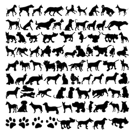 To a variety of vector silhouettes of dogs Photographie de stock - Aubaine LD & Abonnement, Code: 400-07099204
