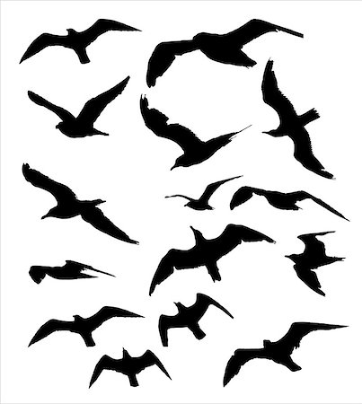 Many seagull silhouette image Photographie de stock - Aubaine LD & Abonnement, Code: 400-07099202