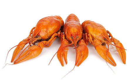 Three boiled crayfishes. Isolated on a white background Stock Photo - Budget Royalty-Free & Subscription, Code: 400-07090626