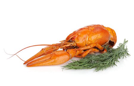 Boiled crayfishes with dill. Isolated on a white background Stock Photo - Budget Royalty-Free & Subscription, Code: 400-07090629