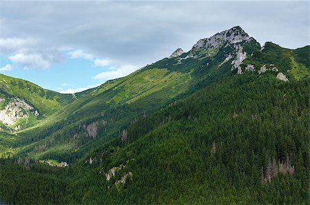 simsearch:400-06748383,k - Tatra Mountain, Poland, view to Giewont mount Fotografie stock - Microstock e Abbonamento, Codice: 400-07090774