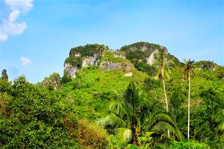 simsearch:400-07295714,k - mountains with green trees in Krabi, Thailand Stock Photo - Budget Royalty-Free & Subscription, Code: 400-07091075