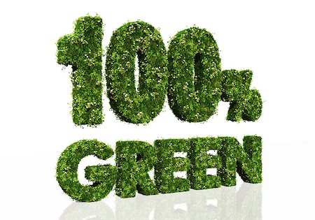 simsearch:400-06928460,k - the three dimensional words "100%" and "green", one above the other, are covered by grass and flowers, on a white background Stock Photo - Budget Royalty-Free & Subscription, Code: 400-07091077