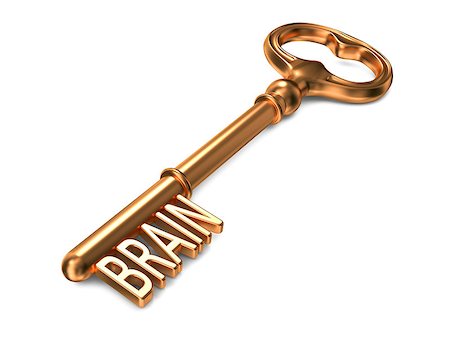 Brain - Golden Key on White Background. 3D Render. Business Concept. Stock Photo - Budget Royalty-Free & Subscription, Code: 400-07091239