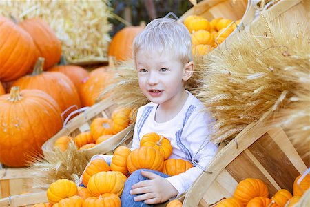 simsearch:400-07169847,k - cute adorable boy at the pumpkin patch Photographie de stock - Aubaine LD & Abonnement, Code: 400-07091718