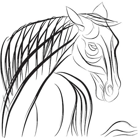 Horse head profile with mane and tail, hand drawn sketch composition isolated on white Stock Photo - Budget Royalty-Free & Subscription, Code: 400-07091856