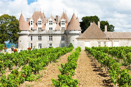 Monbazillac Castle with vineyard, Aquitaine, France Stock Photo - Budget Royalty-Free & Subscription, Code: 400-07091932