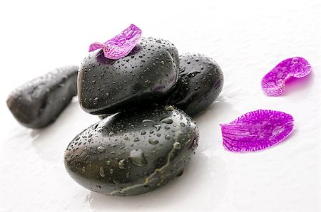 petal on stone - Violet flower petal on black spa stones with water drops. Stock Photo - Budget Royalty-Free & Subscription, Code: 400-07092098