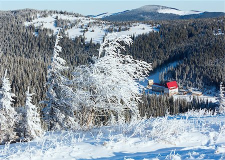 simsearch:400-06861143,k - Morning winter mountain landscape with snowy trees on slope. Foto de stock - Super Valor sin royalties y Suscripción, Código: 400-07093347