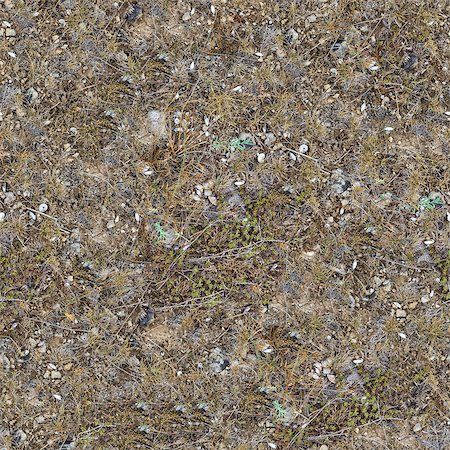 earth surface arid - Seamless Texture of Plot Rocky Steppe Soil with Shells and Stones in the Coastal Zone, Covered with Withered Grass. Stock Photo - Budget Royalty-Free & Subscription, Code: 400-07093828
