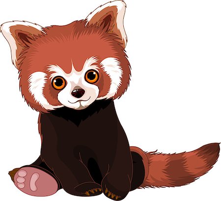 red pandas - Cute sitting red panda Stock Photo - Budget Royalty-Free & Subscription, Code: 400-07104945