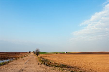 simsearch:400-05041805,k - Harvesting in Summer on the field Stock Photo - Budget Royalty-Free & Subscription, Code: 400-07105688