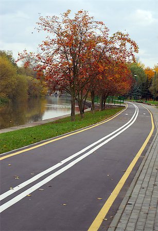 simsearch:400-07107314,k - Autumn cityscape with rowan and bicycle path Fotografie stock - Microstock e Abbonamento, Codice: 400-07105841