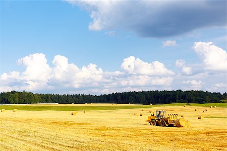 simsearch:400-05041805,k - Harvesting in Summer on the field Stock Photo - Budget Royalty-Free & Subscription, Code: 400-07107172