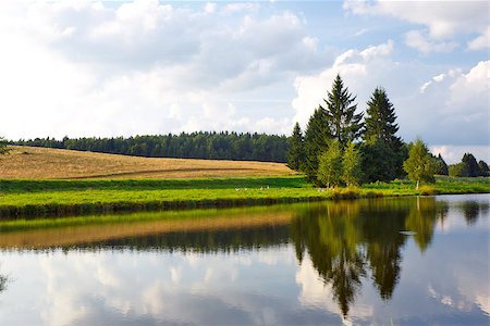 simsearch:400-07107314,k - Summer landscape with a river and trees on the coast Fotografie stock - Microstock e Abbonamento, Codice: 400-07107305