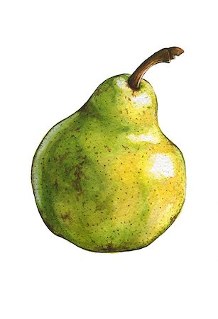 simsearch:400-08378503,k - Pear isolated on white. Watercolor illustration Stock Photo - Budget Royalty-Free & Subscription, Code: 400-07107744