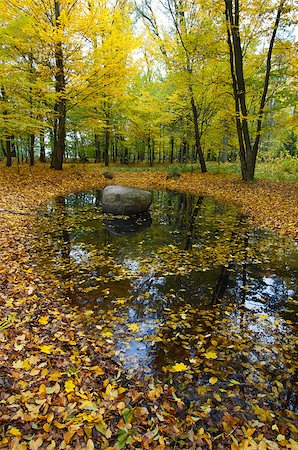simsearch:400-07107314,k - Autumn landscape with many colored leaves and reflection in water Fotografie stock - Microstock e Abbonamento, Codice: 400-07107866