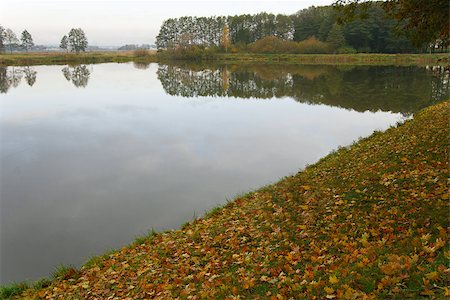 simsearch:400-07107314,k - Autumn landscape with water and beach in the colored leaves Fotografie stock - Microstock e Abbonamento, Codice: 400-07107861