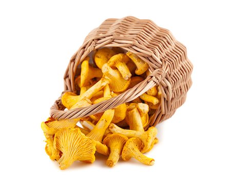 simsearch:400-07038465,k - Sprinkled wicker basket with mushrooms isolated on a white background Photographie de stock - Aubaine LD & Abonnement, Code: 400-07108106