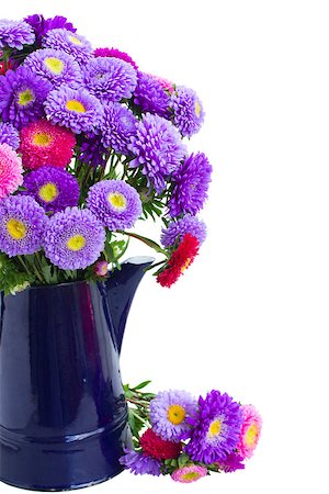 bouquet of aster flowers in  blue pot isolated on white background Stock Photo - Budget Royalty-Free & Subscription, Code: 400-07100049