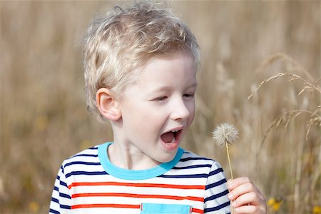 cute positive boy at summer blowing the dandelion Stock Photo - Budget Royalty-Free & Subscription, Code: 400-07100417