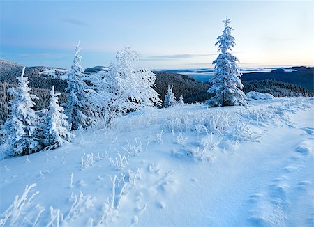 simsearch:400-06861143,k - Predown morning winter mountain landscape with snow covered trees on slope Foto de stock - Super Valor sin royalties y Suscripción, Código: 400-07101005