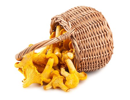 simsearch:400-07038465,k - Sprinkled basket with mushrooms isolated on a white background Photographie de stock - Aubaine LD & Abonnement, Code: 400-07101928