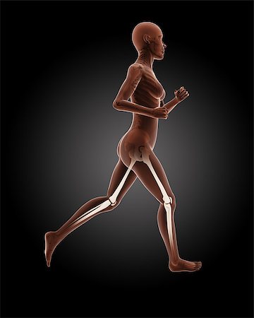 simsearch:400-06768229,k - 3D render of a running female medical skeleton Fotografie stock - Microstock e Abbonamento, Codice: 400-07102402