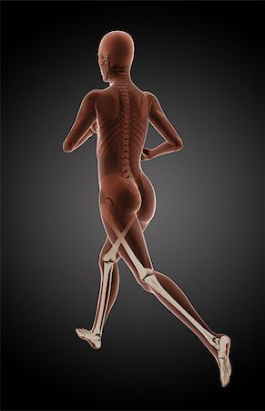 3D render of a female medical running with legs highlighted Stock Photo - Budget Royalty-Free & Subscription, Code: 400-07102403