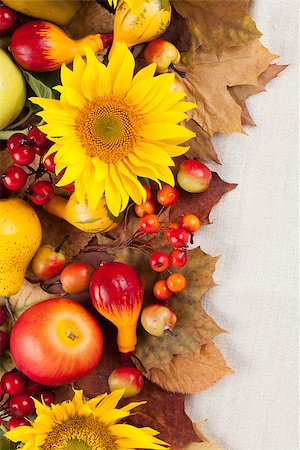 simsearch:400-04719774,k - Autumn frame with fruits, pumpkins and sunflowers Photographie de stock - Aubaine LD & Abonnement, Code: 400-07102984