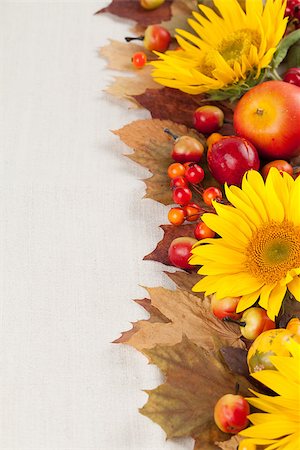 simsearch:400-05265311,k - Autumn frame with fruits, pumpkins and sunflowers Foto de stock - Super Valor sin royalties y Suscripción, Código: 400-07102985