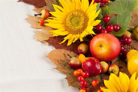 simsearch:400-04719774,k - Autumn frame with fruits, pumpkins and sunflowers Photographie de stock - Aubaine LD & Abonnement, Code: 400-07102986