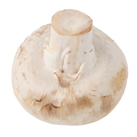 simsearch:400-05305223,k - Champignon mushroom. Isolated on white background Foto de stock - Super Valor sin royalties y Suscripción, Código: 400-07103294