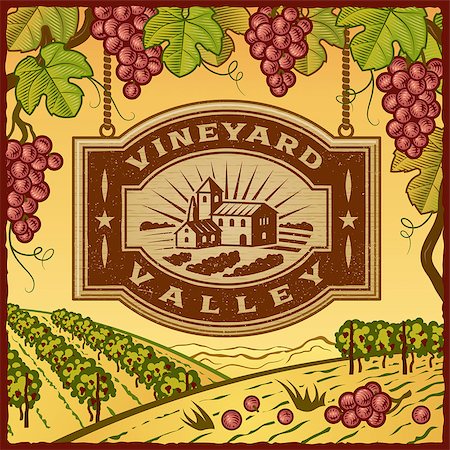 simsearch:400-05751294,k - Retro landscape with Vineyard Valley sign in woodcut style. Vector illustration with clipping mask. Foto de stock - Super Valor sin royalties y Suscripción, Código: 400-07114127