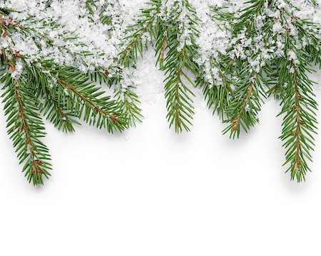 snow border - border from fir twigs and fake snow, on white background Stock Photo - Budget Royalty-Free & Subscription, Code: 400-07114819