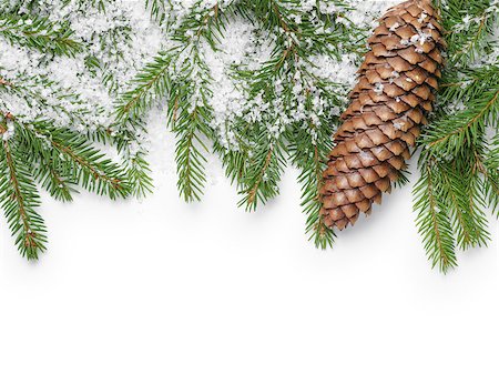 snow border - border from fir twigs, cone and fake snow, on white background Stock Photo - Budget Royalty-Free & Subscription, Code: 400-07114822