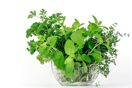 potted herbs - Fresh herbs, thyme, mint and parsley placed in a glass utensil Stock Photo - Budget Royalty-Free & Subscription, Code: 400-07115006