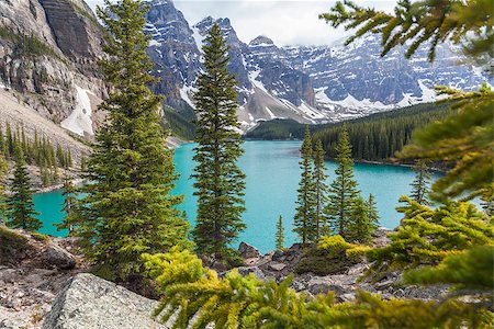 pines lake canada - Moraine Lake, a glacially-fed lake in Banff National Park, Alberta, Canada, situated in the Valley of the Ten Peaks. Surrounded by the snow covered peaks of the Rocky Mountains. Stock Photo - Budget Royalty-Free & Subscription, Code: 400-07115288