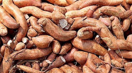 sherjaca (artist) - Nutrition sweet potato yam carbohydrate  food background Fotografie stock - Microstock e Abbonamento, Codice: 400-07115688