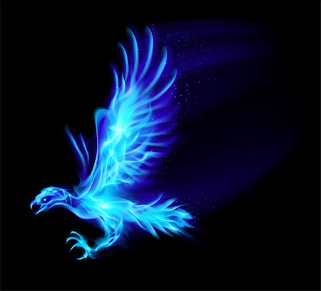 simsearch:400-07116156,k - Illustration of blue fire hawk on black background. Photographie de stock - Aubaine LD & Abonnement, Code: 400-07116135