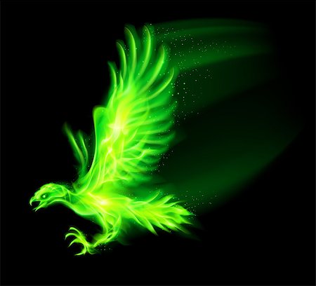 simsearch:400-07257318,k - Illustration of green fire hawk on black background. Fotografie stock - Microstock e Abbonamento, Codice: 400-07116136