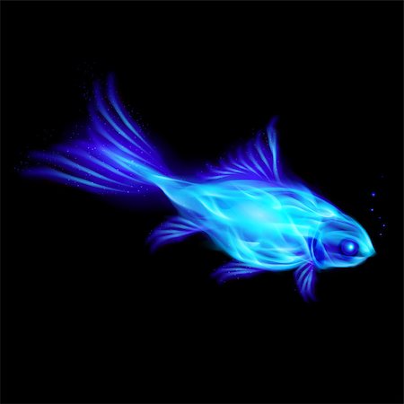 simsearch:400-07252708,k - Illustration of blue fire fish on black background. Foto de stock - Super Valor sin royalties y Suscripción, Código: 400-07116133