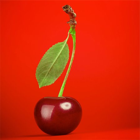 red seed passion fruit - fresh red cherry with stem on red background Stock Photo - Budget Royalty-Free & Subscription, Code: 400-07111224