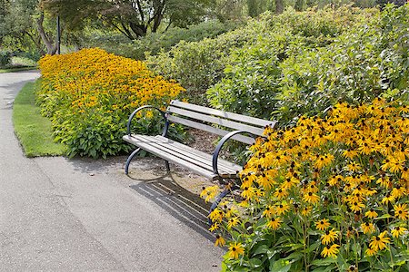 simsearch:400-04416181,k - Park Bench Along Garden Path with Black-Eyed Susan Flowers and Bushes Blooming in Summer Fotografie stock - Microstock e Abbonamento, Codice: 400-07111806