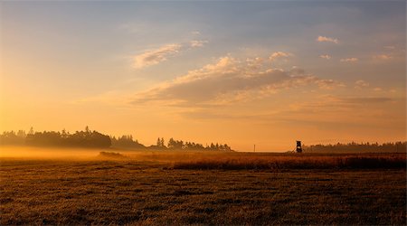 On the field in the morning mist Stock Photo - Budget Royalty-Free & Subscription, Code: 400-07111847