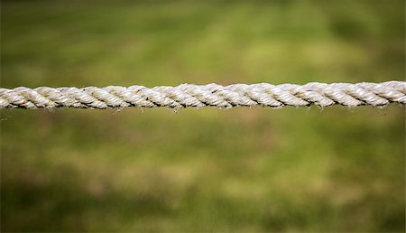 A straight rope against a green background Foto de stock - Royalty-Free Super Valor e Assinatura, Número: 400-07112238